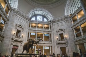 American Museum of Natural History